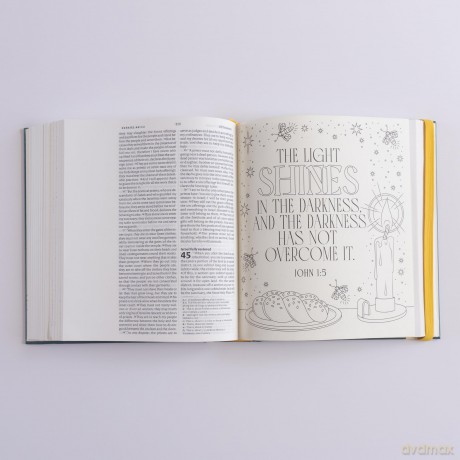 NIV Illuminated Bible - New International Version [KSIĄŻKA]