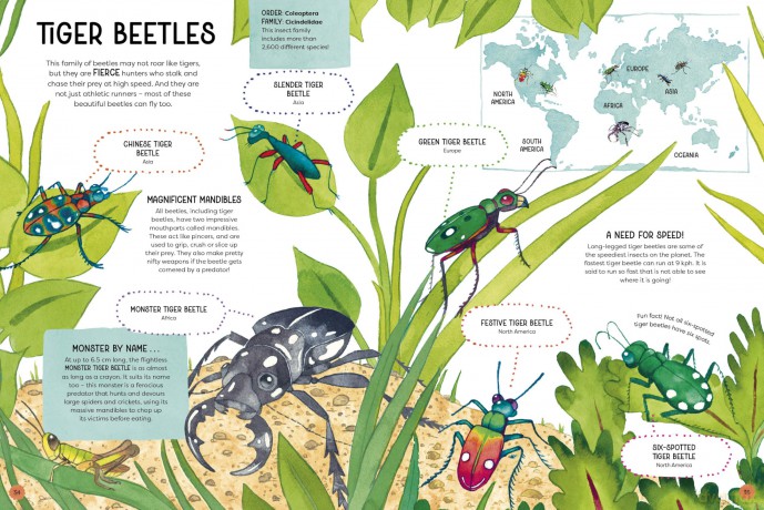 Animal Families: Wild cousins around the world - Matt Sewell [KSIĄŻKA]
