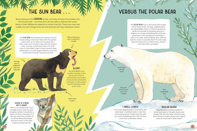 Animal Families: Wild cousins around the world - Matt Sewell [KSIĄŻKA]