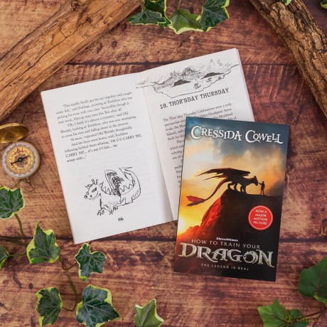How to Train Your Dragon 2025 FILM TIE-IN EDITION: Book 1 - Read the hilarious first book that inspired the films - Cressida Cowell [KSIĄŻKA]