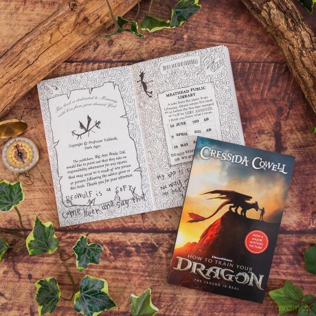 How to Train Your Dragon 2025 FILM TIE-IN EDITION: Book 1 - Read the hilarious first book that inspired the films - Cressida Cowell [KSIĄŻKA]