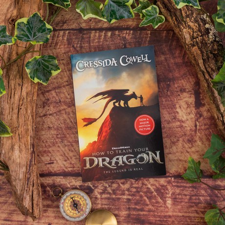 How to Train Your Dragon 2025 FILM TIE-IN EDITION: Book 1 - Read the hilarious first book that inspired the films - Cressida Cowell [KSIĄŻKA]
