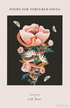 Poems for Tortured Souls - Liz Ison [KSIĄŻKA]