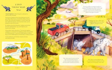 Wild Crossings: How people help animals find their way home - Rachel Ip [KSIĄŻKA]