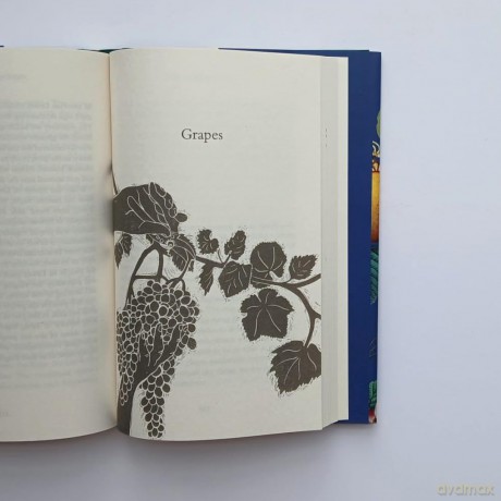 Vanishing Landscapes: The Story of Plants and How We Lost Them - Bonnie Lander Johnson [KSIĄŻKA]