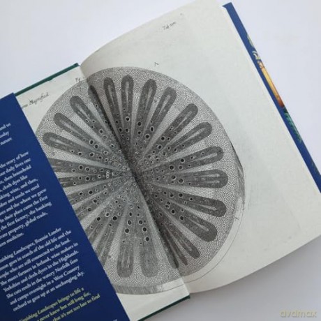 Vanishing Landscapes: The Story of Plants and How We Lost Them - Bonnie Lander Johnson [KSIĄŻKA]