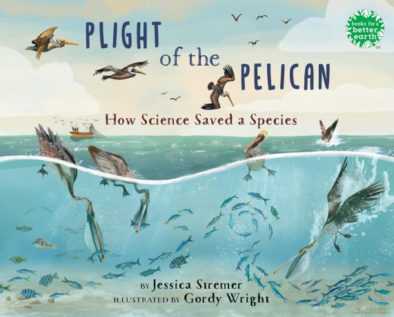 Plight of the Pelican: How Science Saved a Species (Books for a Better Earth) - Jessica Stremer [KSIĄŻKA]