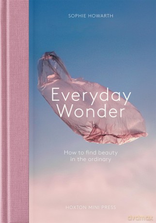 Everyday Wonder: How to find beauty in the ordinary - Sophie Howarth [KSIĄŻKA]