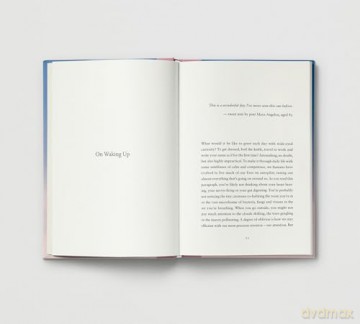 Everyday Wonder: How to find beauty in the ordinary - Sophie Howarth [KSIĄŻKA]