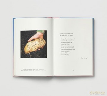 Everyday Wonder: How to find beauty in the ordinary - Sophie Howarth [KSIĄŻKA]
