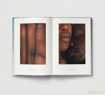 Everyday Wonder: How to find beauty in the ordinary - Sophie Howarth [KSIĄŻKA]