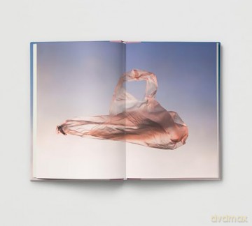 Everyday Wonder: How to find beauty in the ordinary - Sophie Howarth [KSIĄŻKA]