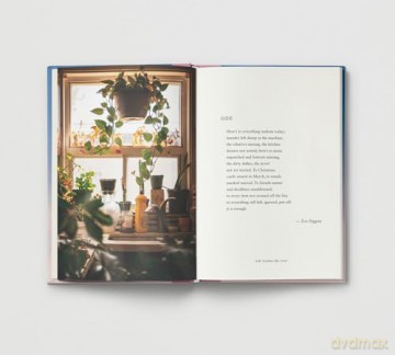 Everyday Wonder: How to find beauty in the ordinary - Sophie Howarth [KSIĄŻKA]