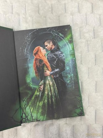 The Ruthless Fae King: Book 3 (The Kings of Avalier) - Leia Stone [KSIĄŻKA]