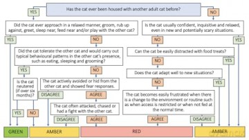 The Sociable Cat: Building harmonious relationships for your cat and family - Melissa Fallon [KSIĄŻKA]