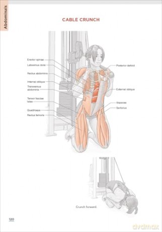 Bodybuilding Anatomy - Michael Israetel [KSIĄŻKA]