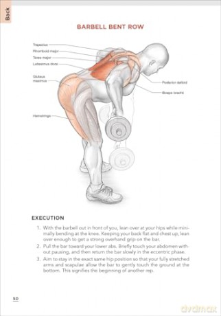 Bodybuilding Anatomy - Michael Israetel [KSIĄŻKA]