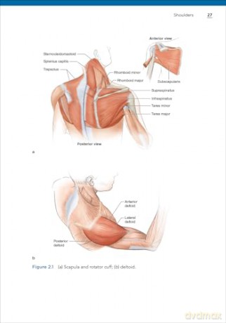 Bodybuilding Anatomy - Michael Israetel [KSIĄŻKA]