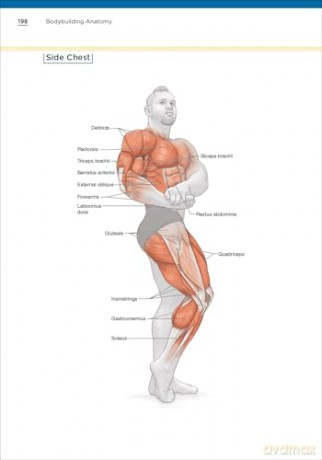 Bodybuilding Anatomy - Michael Israetel [KSIĄŻKA]