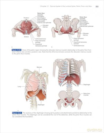 Dance Injuries: Reducing Risk and Maximizing Performance - Jeffrey A. Russell [KSIĄŻKA]