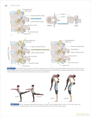 Dance Injuries: Reducing Risk and Maximizing Performance - Jeffrey A. Russell [KSIĄŻKA]