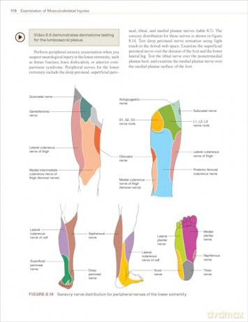 Examination of Musculoskeletal Injuries - Sandra J. Shultz [KSIĄŻKA]