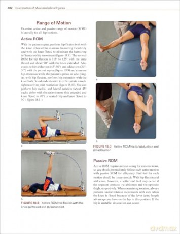 Examination of Musculoskeletal Injuries - Sandra J. Shultz [KSIĄŻKA]