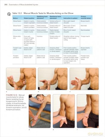 Examination of Musculoskeletal Injuries - Sandra J. Shultz [KSIĄŻKA]