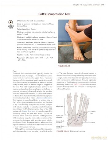 Examination of Musculoskeletal Injuries - Sandra J. Shultz [KSIĄŻKA]