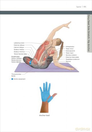 Hands-On Yoga Assists: A Teacher's Guide to The Rubber Band Method - Kiara Armstrong [KSIĄŻKA]