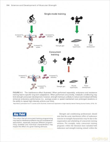 Science and Development of Muscular Strength - Timothy J. Suchomel [KSIĄŻKA]