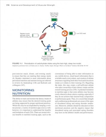 Science and Development of Muscular Strength - Timothy J. Suchomel [KSIĄŻKA]