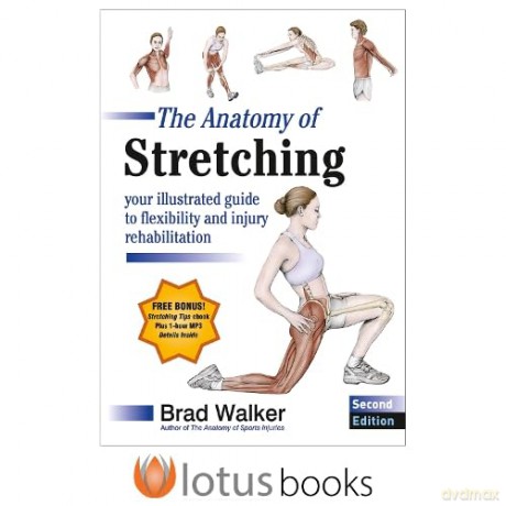 The Anatomy of Stretching: Your Illustrated Guide to Flexibility and Injury Rehabilitation - Brad Walker [KSIĄŻKA]