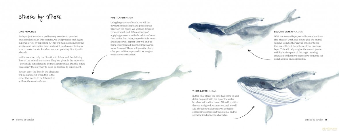 Animal Watercolour in 10 Minutes: An easy, new stroke-by-stroke technique - Miriam Sugranyes [KSIĄŻKA]