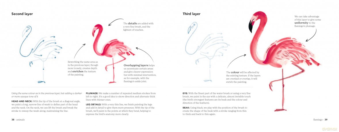 Animal Watercolour in 10 Minutes: An easy, new stroke-by-stroke technique - Miriam Sugranyes [KSIĄŻKA]