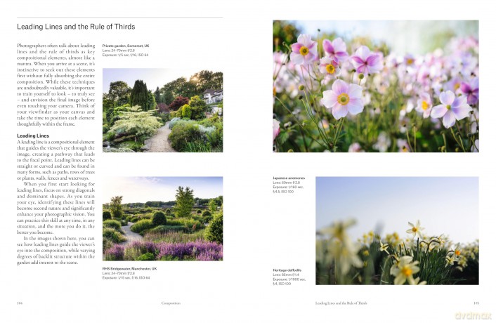 How to Photograph Gardens: Beautiful images made simple - Jason Ingram [KSIĄŻKA]