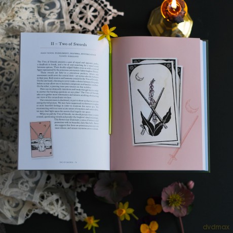 You Will Be Able to Read Tarot by the End of This Book: The illustrated guidebook to unlock your journey through the cards - Nicole Rallis [KSIĄŻKA]