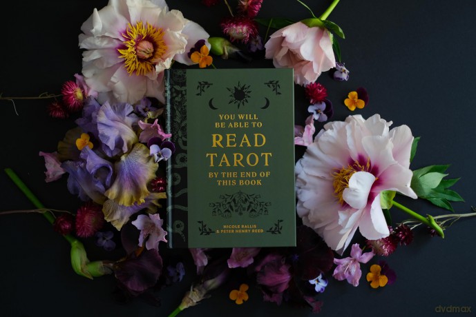 You Will Be Able to Read Tarot by the End of This Book: The illustrated guidebook to unlock your journey through the cards - Nicole Rallis [KSIĄŻKA]