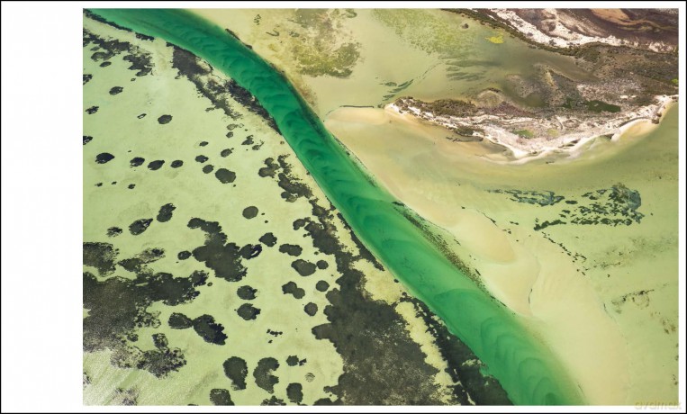 Sightlines: Patterns + Palettes of Australian Landscapes - Lisa Michele Burns [KSIĄŻKA]
