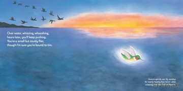 Born Inside a Nest So Small: Conversation With a Hummingbird - Iza Trapani [KSIĄŻKA]