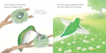 Born Inside a Nest So Small: Conversation With a Hummingbird - Iza Trapani [KSIĄŻKA]