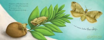 Not a Bean - Claudia Guadalupe Martinez [KSIĄŻKA]