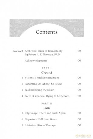 Return with Elixir: Four Maps for the Soul's Pilgrimage through Death and Rebirth - Miles Neale [KSIĄŻKA]