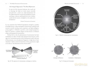 The Metaverse of Consciousness: Mapping the Multiple Dimensions of Reality - Shelli Renée Joye [KSIĄŻKA]