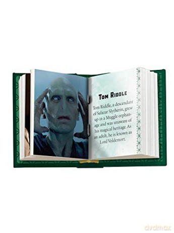 Harry Potter: Slytherin: Tiny Book (Tiny Books) - Insight Editions [KSIĄŻKA]