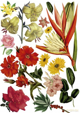 Image Treasure for Collage Artists - Adriana Bermúdez [KSIĄŻKA]