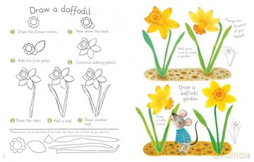 Let's Draw: Flowers - Anton Poitier [KSIĄŻKA]