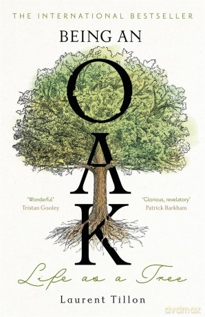Being an Oak: Life as a tree - Laurent Tillon [KSIĄŻKA]