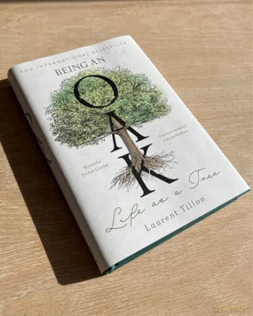 Being an Oak: Life as a tree - Laurent Tillon [KSIĄŻKA]