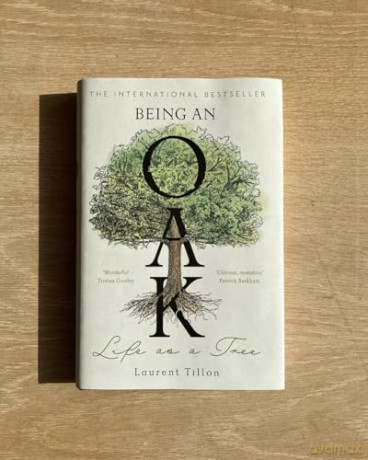 Being an Oak: Life as a tree - Laurent Tillon [KSIĄŻKA]